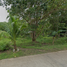  Land for sale in Siquijor, Central Visayas, Maria, Siquijor