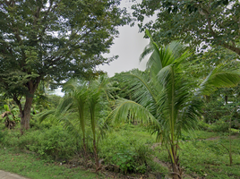  Land for sale in Siquijor, Central Visayas, Maria, Siquijor