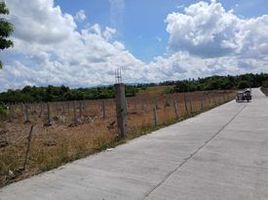  Land for sale in Quezon, Calabarzon, Lucena City, Quezon