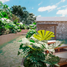  Grundstück zu verkaufen in Quintana Roo, Yucatan, Quintana Roo