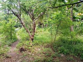  Land for sale in Lipa City, Batangas, Lipa City