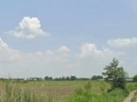  Land for sale in Magalang, Pampanga, Magalang