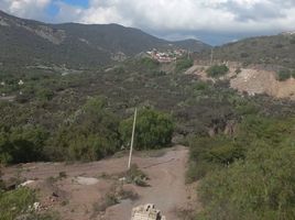  Grundstück zu verkaufen in Pachuca De Soto, Hidalgo, Pachuca De Soto