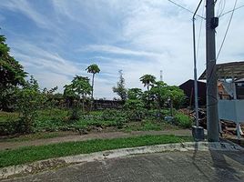  Grundstück zu verkaufen in Binan City, Calabarzon, Binan City