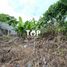  Terreno (Parcela) en venta en Mengwi, Bali, Mengwi, Badung