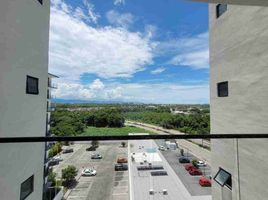 푸에르토 발라 타, 할리 스코PropertyTypeNameBedroom, 푸에르토 발라 타