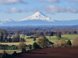  Terreno (Parcela) en venta en Frutillar, Llanquihue, Frutillar