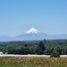  Terrain for sale in Frutillar, Llanquihue, Frutillar