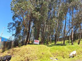  Land for sale in Conocoto, Quito, Conocoto