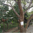  Terreno (Parcela) en venta en Quezon City, Metro Manila, Quezon City, Eastern District, Metro Manila