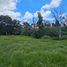  Land for sale in Ocoyucan, Puebla, Ocoyucan