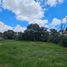  Land for sale in Ocoyucan, Puebla, Ocoyucan