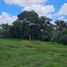  Land for sale in Ocoyucan, Puebla, Ocoyucan