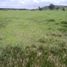  Land for sale in Ocoyucan, Puebla, Ocoyucan