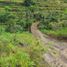  Land for sale in Atuh Beach, Nusa Penida, Nusa Penida