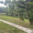  Terreno (Parcela) en venta en Calamba City, Calabarzon, Calamba City, Laguna, Calabarzon, Filipinas