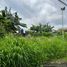  Land for sale in Paranaque City, Southern District, Paranaque City