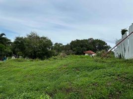  Land for sale in Batangas, Calabarzon, Nasugbu, Batangas