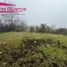  Land for sale in Diguillin, Nuble, Chillan, Diguillin