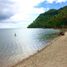  Land for sale in Mabini, Central Visayas, Mabini