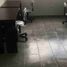 0 m² Office for rent in Monterrey, Nuevo León, Monterrey