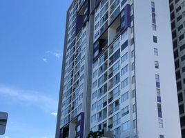 3 Habitación Apartamento en venta en Santander, Floridablanca, Santander