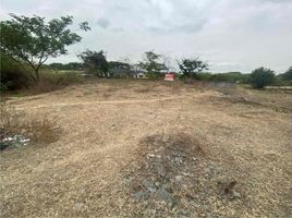  Land for sale in Guayas, Samborondon, Samborondon, Guayas