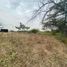  Land for sale in Guayas, Samborondon, Samborondon, Guayas