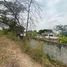  Land for sale in Guayas, Samborondon, Samborondon, Guayas