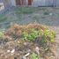  Terreno (Parcela) en venta en Manta, Manabi, Manta, Manta, Manabi