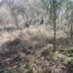  Terreno (Parcela) en venta en Dist Pochutla, Oaxaca, Dist Pochutla