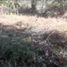  Terreno (Parcela) en venta en Dist Pochutla, Oaxaca, Dist Pochutla