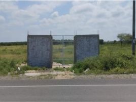 Terrain à vendre à Piura, Piura, Piura, Piura, Piura, Pérou