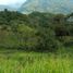  Villa for sale in Angelopolis, Antioquia, Angelopolis