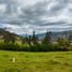  Land for sale in Paute, Azuay, Chican Guillermo Ortega, Paute