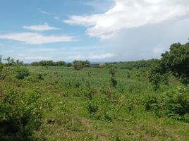  Land for sale in Zamboanguita, Negros Island Region, Zamboanguita