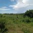  Land for sale in Zamboanguita, Negros Island Region, Zamboanguita