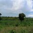  Land for sale in Zamboanguita, Negros Island Region, Zamboanguita