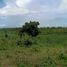  Land for sale in Zamboanguita, Negros Island Region, Zamboanguita