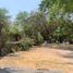  Land for sale in Miacatlan, Morelos, Miacatlan