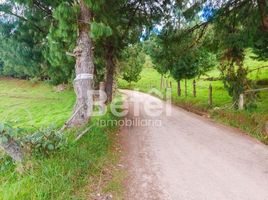  Terreno (Parcela) en venta en Tarqui, Cuenca, Tarqui