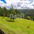  Land for sale in Tarqui, Cuenca, Tarqui