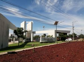 在Irapuato, Guanajuato出售的 土地, Irapuato