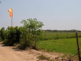  Terreno (Parcela) en venta en Guamo, Tolima, Guamo