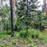  Land for rent in Chilpancingo De Los Bravo Guerrero, Chilpancingo De Los Bravo