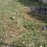  Land for sale in Ocoyucan, Puebla, Ocoyucan