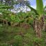  Terreno (Parcela) en venta en Armenia, Quindio, Armenia