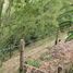  Grundstück zu verkaufen in Armenia, Quindio, Armenia, Quindio