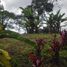  Grundstück zu verkaufen in Armenia, Quindio, Armenia, Quindio