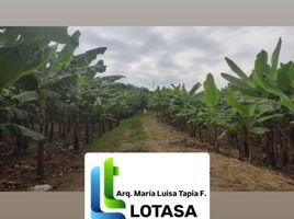  Land for sale in Guayas, Guayaquil, Guayaquil, Guayas